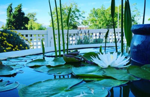 Somerset West House | Waterstone Lodge