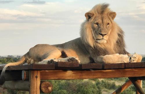 Theunissen Cabin | Weltevreden Game Lodge