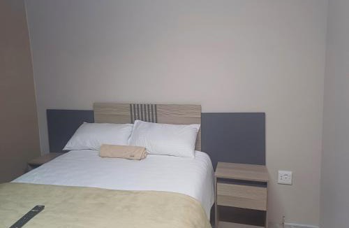 Three Rivers Apartment | Willow guest house