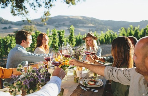Healdsburg House | Wine Country Estate: Pool, Spa & Vineyard Views
