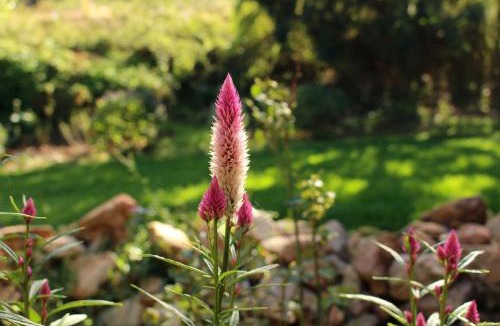 Patensie Apartment | Witrivier Farmstay Self-Catering