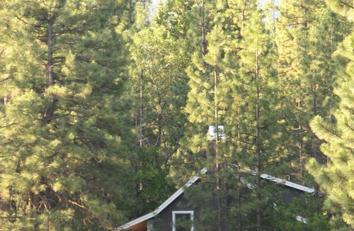 Burney House | Wonderful Winter Escape with Mountain views in Forest-like setting