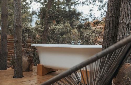 Tulbagh Apartment | Woodpecker Cabin at Vrolikheid Landgoed