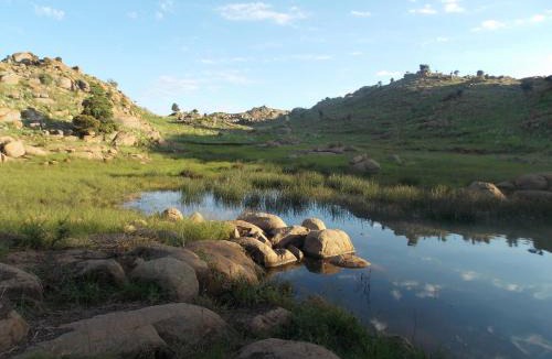 Tonteldoos House | Woolly Bugger Farm