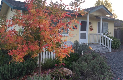 Santa Rosa Cottage | Woolsey Road Cottage -Cozy, Comfy and Fresh Eggs!
