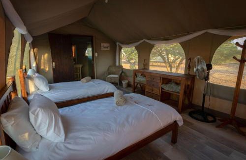 Kagisano-Molopo Cabin | Working with Wildlife Conservation Safari on Khamab Kalahari Reserve