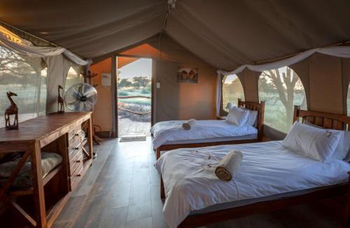 Kagisano-Molopo Cabin | Working with Wildlife Conservation Safari on Khamab Kalahari Reserve