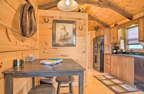 Mill Spring Cabin | Year-Round Adventure! Rustic Cabin in Mill Spring