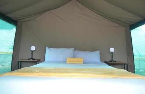 Skukuza Other | Yebo Safari Tents-Stay Inside Kruger