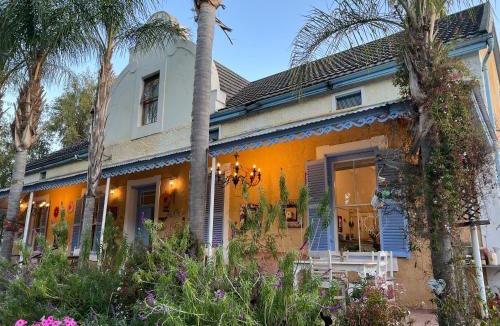 Cederberg House | Yellow Aloe