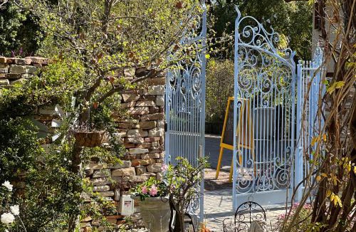 Cederberg House | Yellow Aloe
