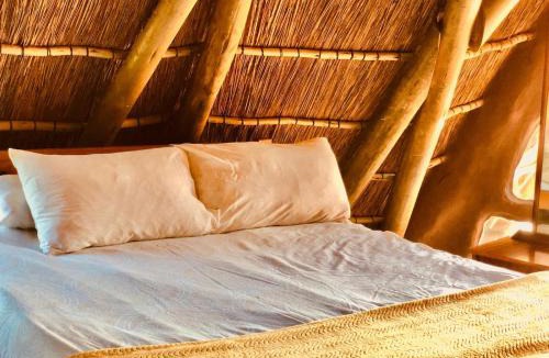 Kentani Hostel | Yellowwood Forest Eco Retreat