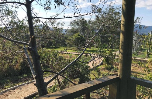 Die Barakke Cabin | Sleep Whiskers away from the Lions and " FEEL " them ROAR! Cabin 2