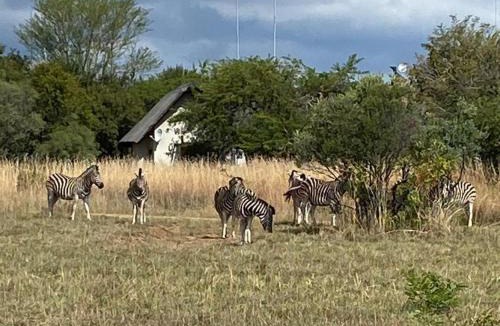 Leeupoort Villa | Zebula Golf and Wildlife Estate - Nagapie 12 Pax- Moi Signature Luxury villa