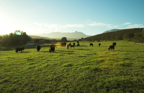 Riversdale House | Zeekoegat Historical Homestead