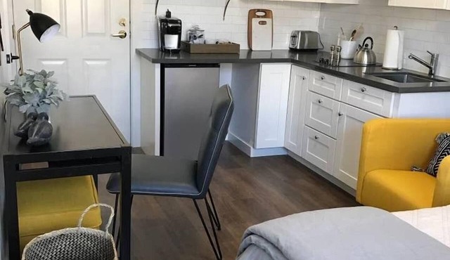 208-Vibrant Studio Apt. in downtown San Jose!