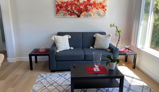 3 Palo Alto - Fully Furnished Apartment - AC, Laundry & Secure Parking