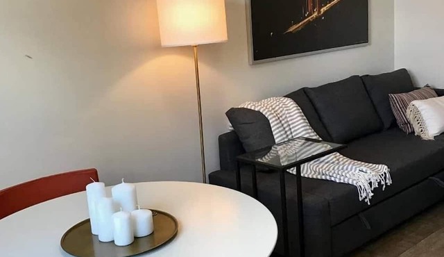 310-1 Bedroom Gem San Pedro Square San Jose!