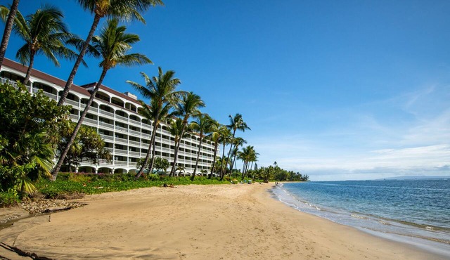 Beachfront Bliss - True 1 bedroom/2 bath/sleeps 4 Steps to Water in Lahaina