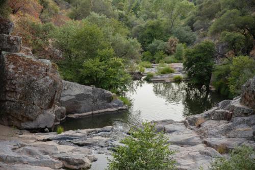 Buckeye Basecamp-40 Private, Pet Friendly Acres! in Sonora