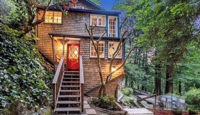 Cabin Forest Retreat