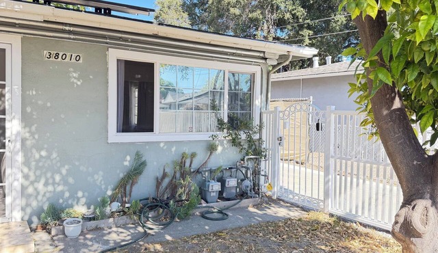 Central Fremont. Convenient to all shops and downtown. Delux comfy.