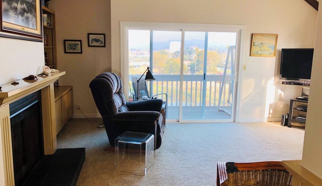 Charming 3-balcony condo, heart of Santa Cruz! River, Boardwalk and Ocean Views! in Santa Cruz