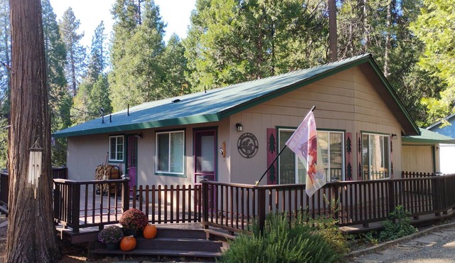 Cozy Home in Pioneer
