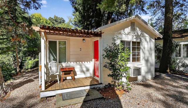 Cozy Nature Retreat Cabin Near Clear Lake in Cobb California
