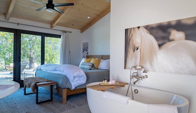 Gated Vineyard Ranch + Fire Pit | Paso Robles | Cocavin Carriage House in Paso Robles