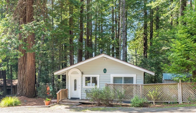 Green Tree Cottage | 1 BR Vacation Cabin among the coastal redwoods