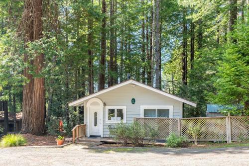 Green Tree Cottage
