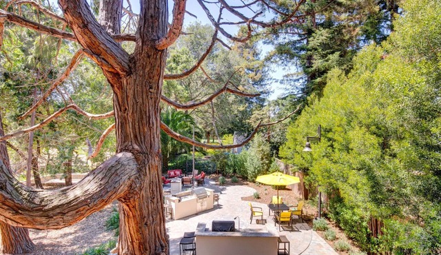 Hip San Mateo 1BR w/W/D, Gym, BBQ, Parking, walk to all, by Blueground