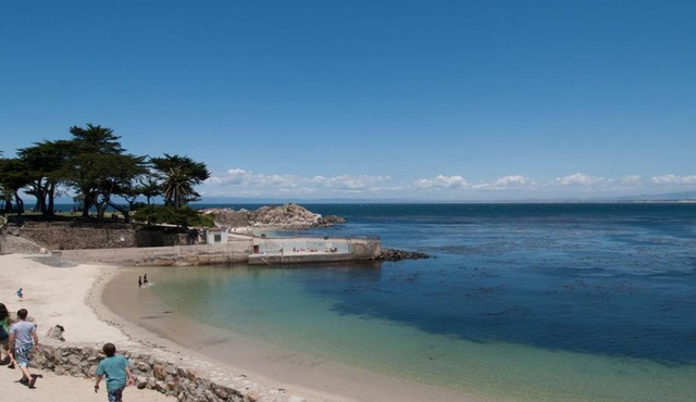 It's All Good! - Pacific Grove Beach House - California Dreaming