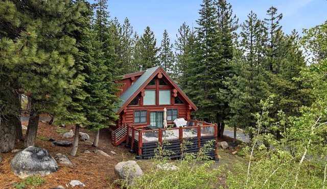 Japandi Style Log Cabin with Sauna-Inspired Tub and Ski Access, Bear Valley California in Bear Valley
