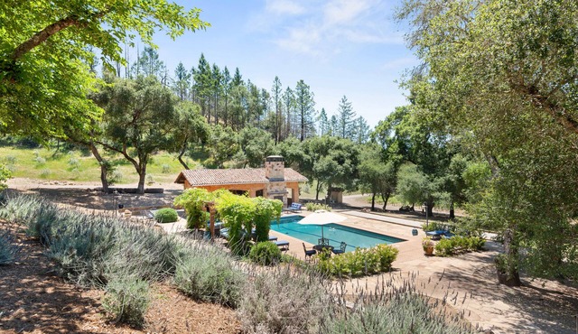 Locanda Winery estate with Olympic-size pool & Starlink WiFi - dog-friendly