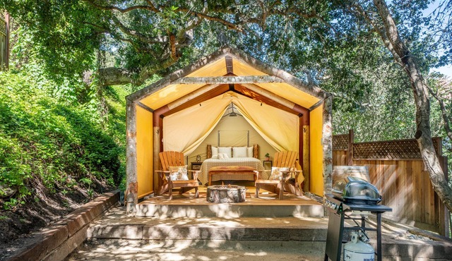 Luxury Tent - Pet Friendly