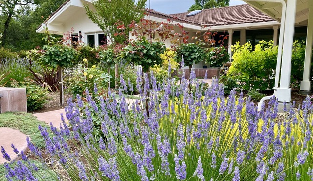 Luxury Wine Country Living—A Private Sonoma Escape Just Minutes from the Plaza