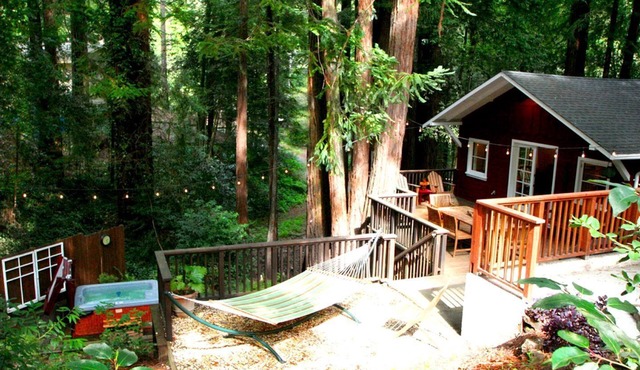 Pet-Friendly Cabin Rental with Studio for Glamping in Northern California