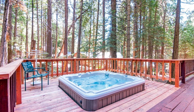 PRIVATE HOT TUB + WALK TO SNOWSHOE LAKE W/FREE ACCESS