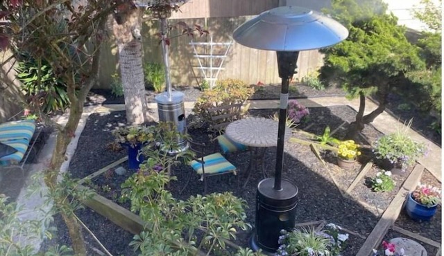 SF apt-walk to Golden Gate Park-Free parking!