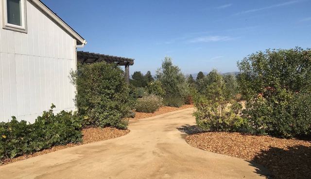 Stunning Views on 10 acres w/ Vineyard, 7 min to Sebastopol