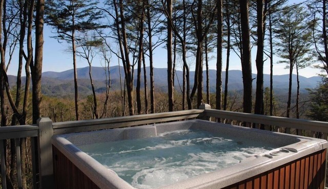 Summer Sale-5 Star-Incredible Views-Hot Tub-Love Pups-15 min to Blue Ridge-Clean in Cherry Log