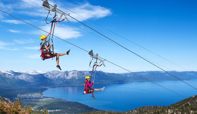 Tahoe Keys Traditions - BBQ Pet Friendly