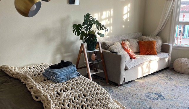Top Floor 1-bedroom Chic Elegant ApartmentWalking Score 99!