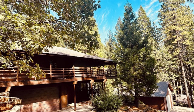 Tranquil - 2 bedroom cabin in charming Trinity Center awaits you in Trinity Center