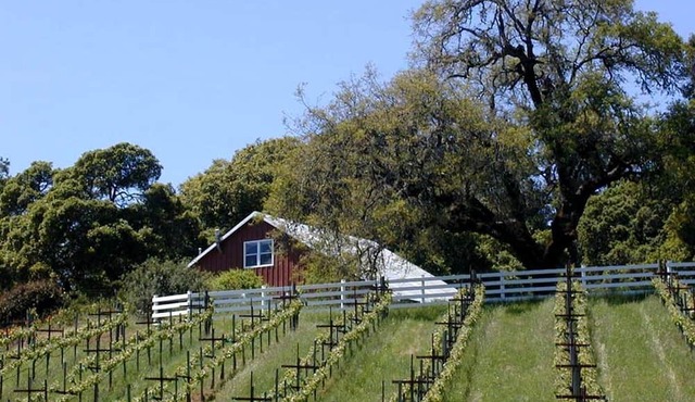 Vacation Rental with Spa and Pool on Winery near Healdsburg, California