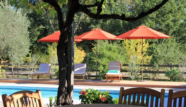 Villa Ticino - Romantic and exclusive vineyard estate - pool, spa, bocce, views