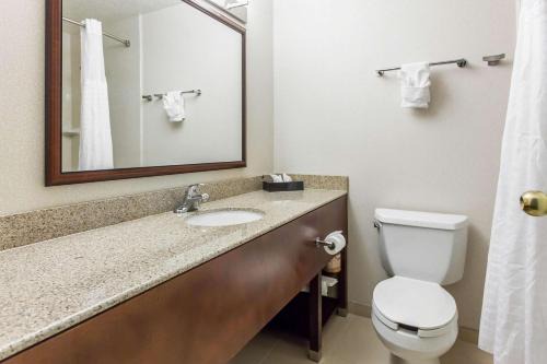 Comfort Inn Fallon Naval Air Station 