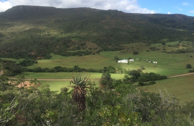 Farm Stays, Here you will be able to relax and enjoy the beauty of nature